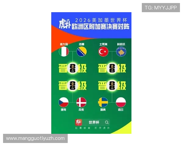 欧洲区世界杯预选赛积分榜最新数据及各队排名情况全景介绍